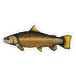 Dark Brown Trout Sticker