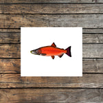 Light Coho Salmon Watercolor Print