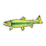 Green Rainbow Trout Sticker