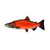 Light Coho Salmon Sticker