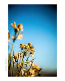 Post 008 - Carpinteria State Beach