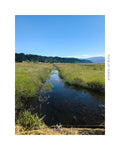 Post 060 - Steigerwald Lake National Wildlife Refuge