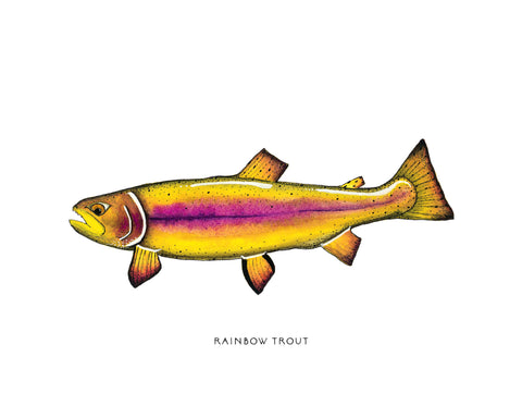Purple Rainbow Trout Watercolor Print