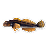 Sculpin Sticker