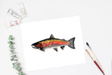 Dark Coho Salmon Watercolor Print