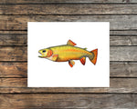 Cutthroat Trout Watercolor Print