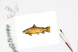 Light Brown Trout Watercolor Print