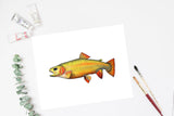 Cutthroat Trout Watercolor Print